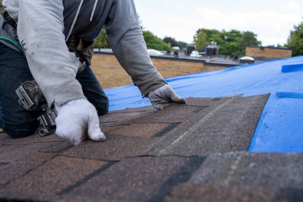 Best Roof Waterproofing Services  in Central High, OK